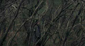 Woman is seen in the distance among bare tree branches.