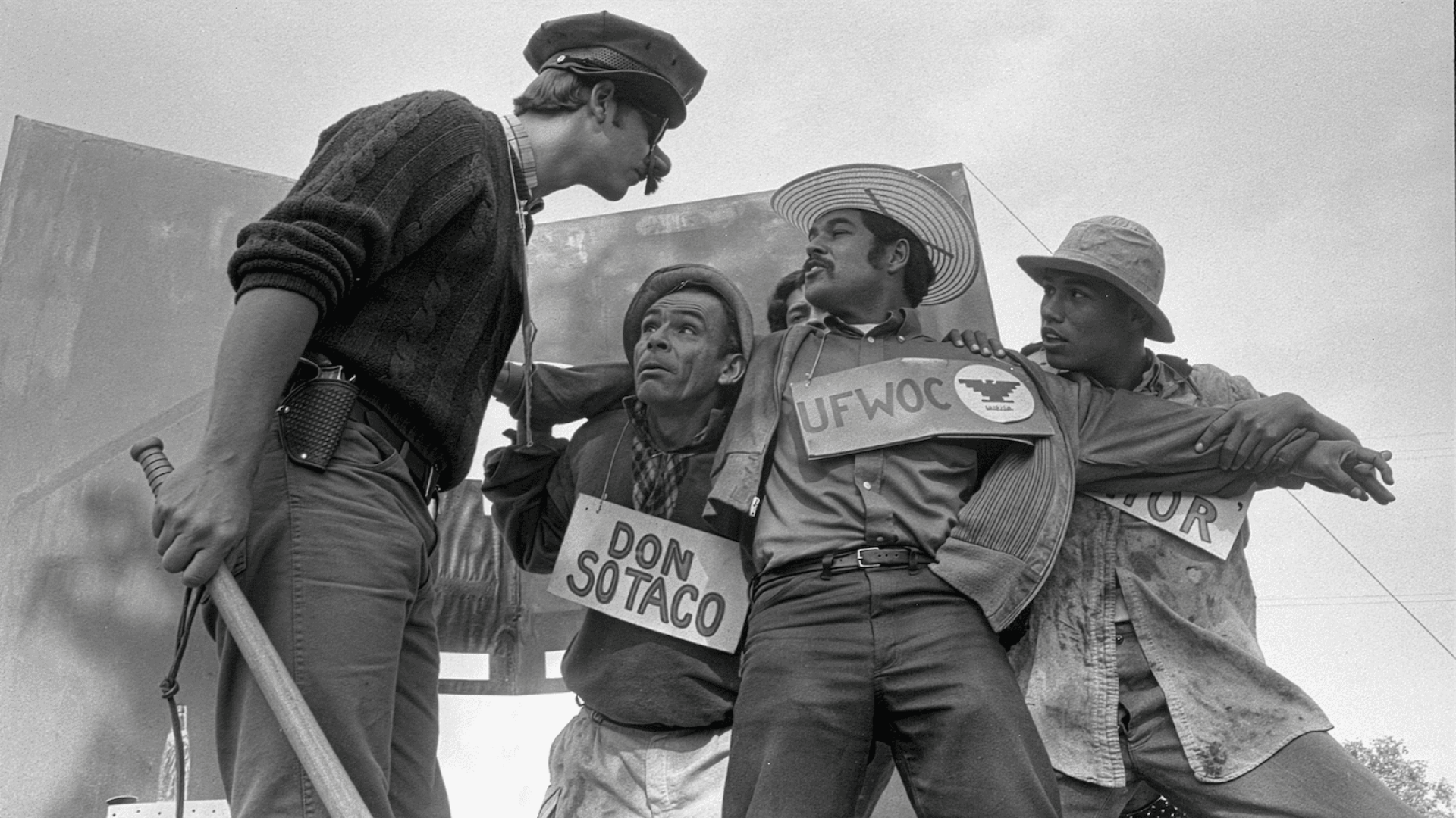 American Pachuco